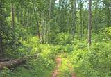 0 Bell Hollow Rd - Photo 42