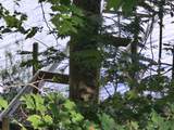 40 Tweede Ln - Photo 24