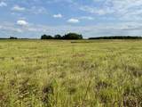 2058 Hwy 259 - Photo 2