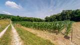 0 Oris Sain Road - Photo 7