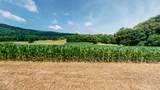 0 Oris Sain Road - Photo 8