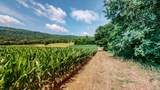 0 Oris Sain Road - Photo 9