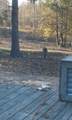 505 Winding Way - Photo 25