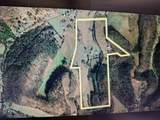 3544 Highway 231 - Photo 19