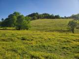 3544 Highway 231 - Photo 20