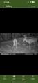 3544 Highway 231 - Photo 23
