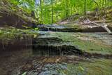 5755 N Lick Creek Rd - Photo 39