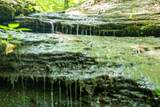 5755 N Lick Creek Rd - Photo 43