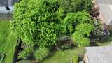 3858 Vallendar Dr - Photo 35