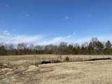 9303 Stewarts Ferry Pike - Photo 6