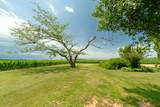 2409 Pepper Rd - Photo 22