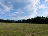 124 Stella Scruggs Rd - Photo 2