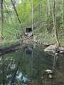 124 Stella Scruggs Rd - Photo 3