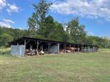 124 Stella Scruggs Rd - Photo 28