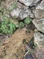 124 Stella Scruggs Rd - Photo 31