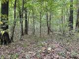 124 Stella Scruggs Rd - Photo 37