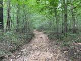 124 Stella Scruggs Rd - Photo 38