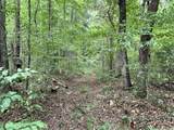 124 Stella Scruggs Rd - Photo 40