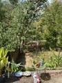 400 Dunlap St - Photo 34