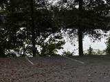 49 Charles Dr - Photo 64