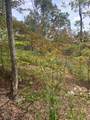 0 Rocky Point Rd - Photo 6