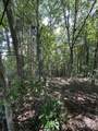 0 Hallie Fox Ln - Photo 9