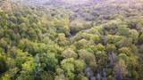 6 Mcburg Dellrose Rd - Photo 14