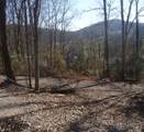 0 Toll Dugger Rd - Photo 50