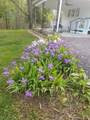 919 John Burch Road - Photo 14