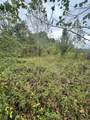0 Oak Grove Road - Photo 2