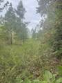 0 Oak Grove Road - Photo 5