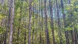 0 Haglersville Road - Photo 12