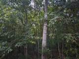 0 Sandy Road - Photo 4