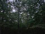 0 Sandy Road - Photo 5