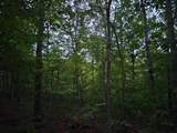 0 Sandy Road - Photo 6