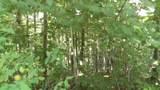 4179 Old Livingston Hwy - Photo 28