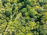 5882 Cane Ridge Rd - Photo 13
