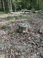 0 News Circle - Photo 4