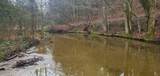 0 Plunkett Creek Rd - Photo 11