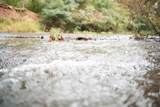 1 Ross Hollow Rd - Photo 5