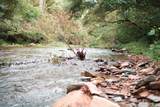 1 Ross Hollow Rd - Photo 6