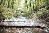 1 Ross Hollow Rd - Photo 8