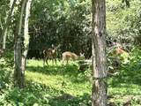 21010 River Canyon Road - Photo 89