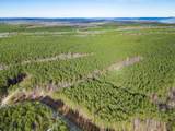 0 Raulston Falls Road - Photo 10