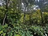 0 Carol Dr - Photo 1