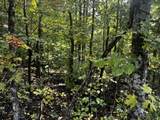 0 Carol Dr - Photo 4