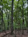 17 Trentwood Ct - Photo 4