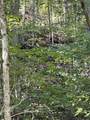 0 Neeley Creek Rd - Photo 2