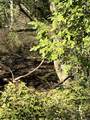 0 Neeley Creek Rd - Photo 6