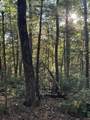 910 Ivy Branch Road - Photo 2